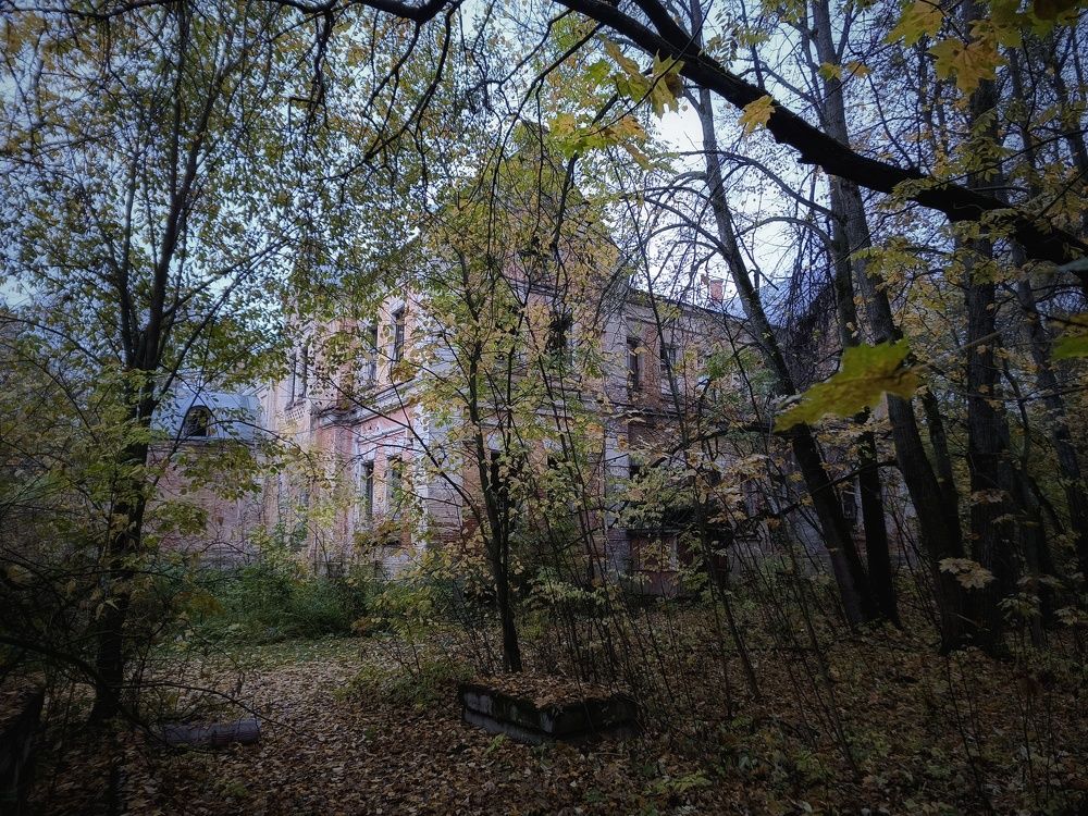 Усадьба фон Мекк в Тульской области