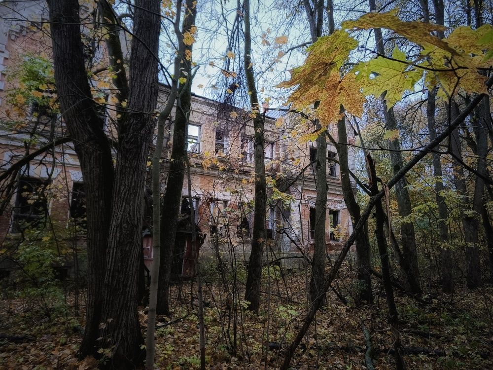 Усадьба фон Мекк в Тульской области