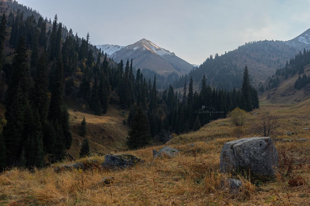 Октябрьские зарисовки...