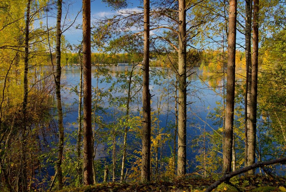 Золотая осень на Беломорканале