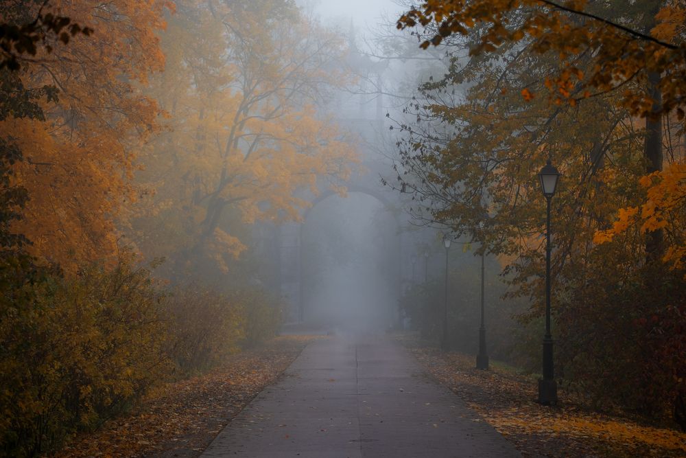 в осеннем парке...