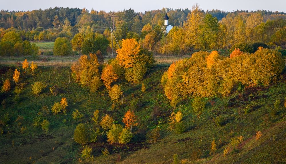 Золото рассвета