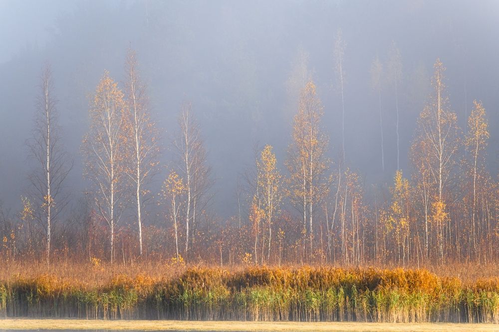 Утро на Городищенском озеро