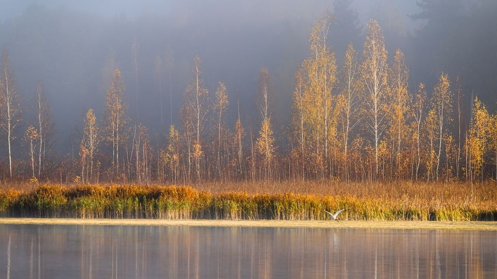 Утро на Городищенском озеро
