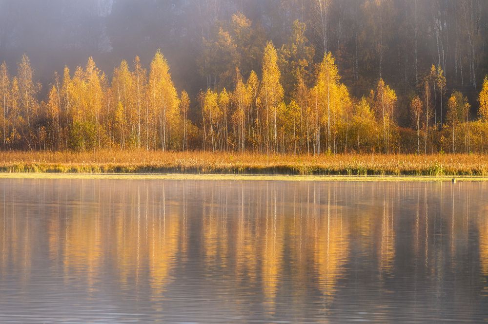 Утро на Городищенском озеро