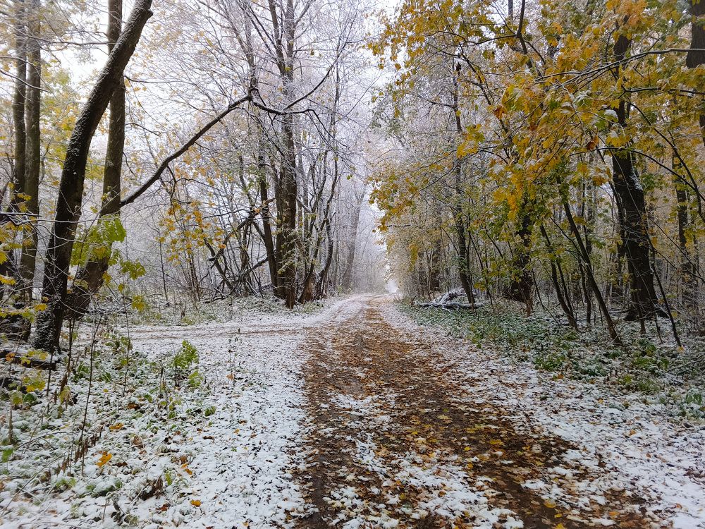 Photo 2707729