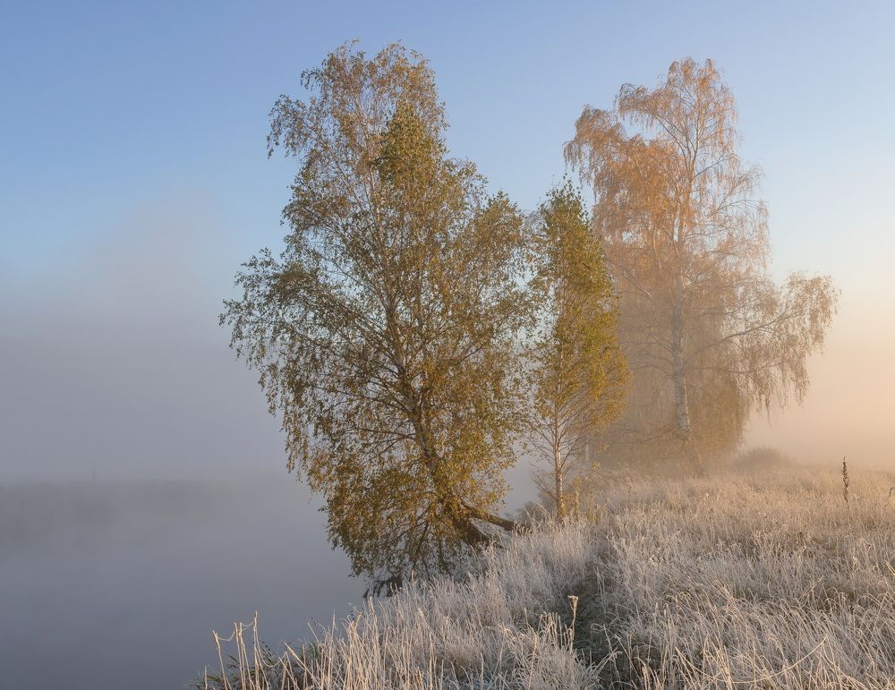 Морозное утро