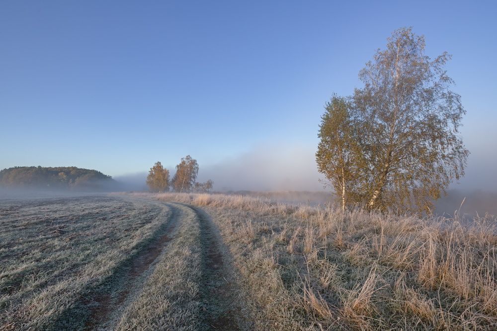 Морозное утро