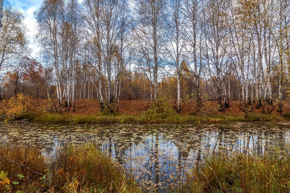 Осень на юге севера.