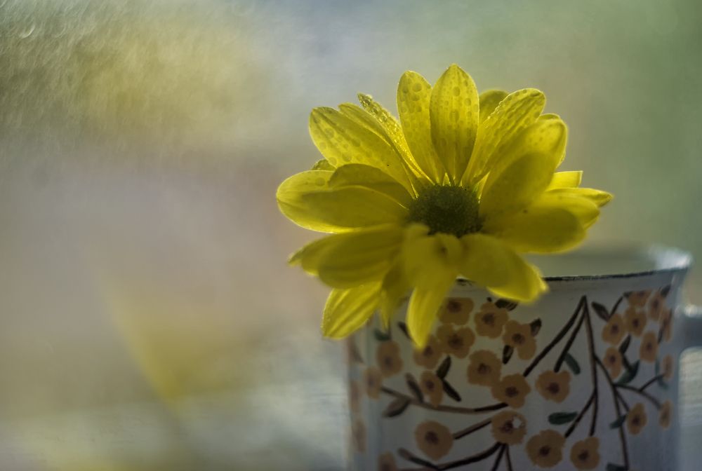 Photo 2708834