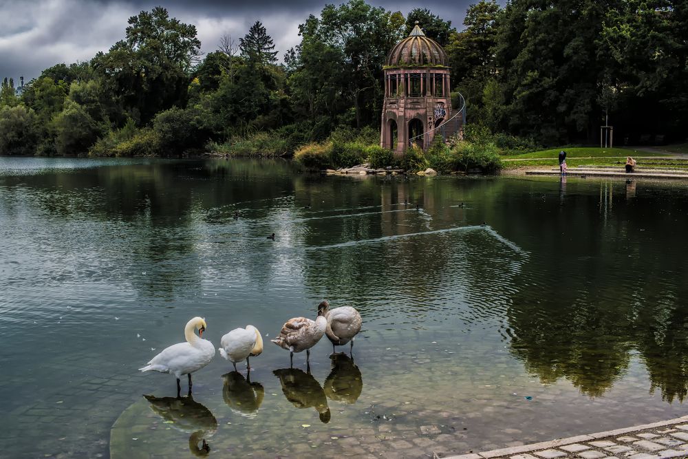 Seepark, Freiburg