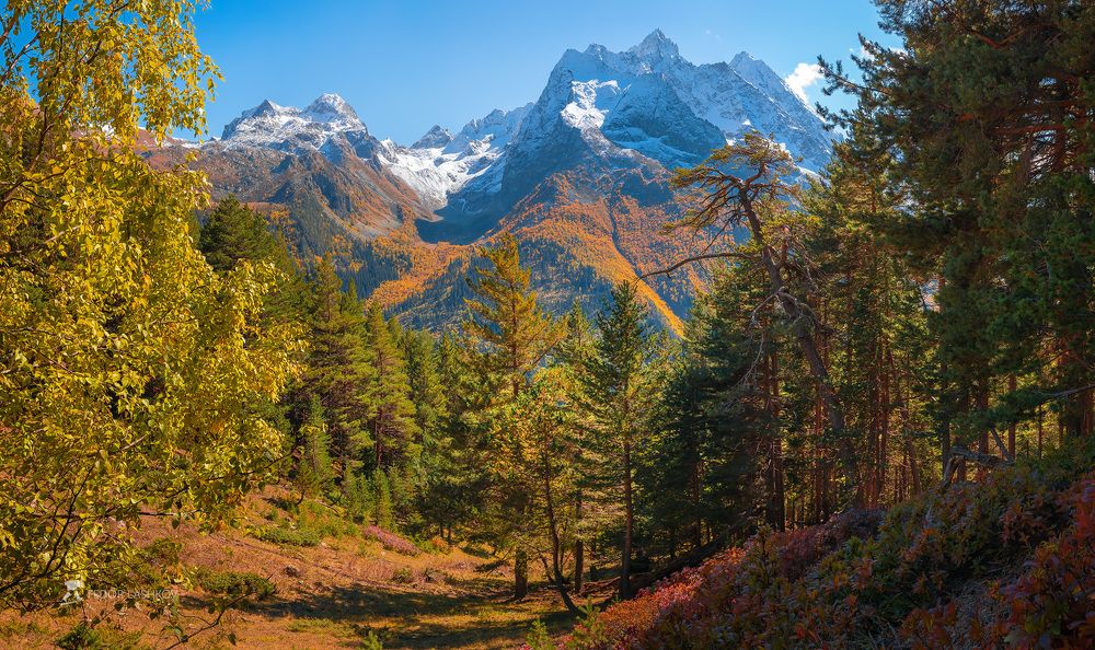 Рыжая осень