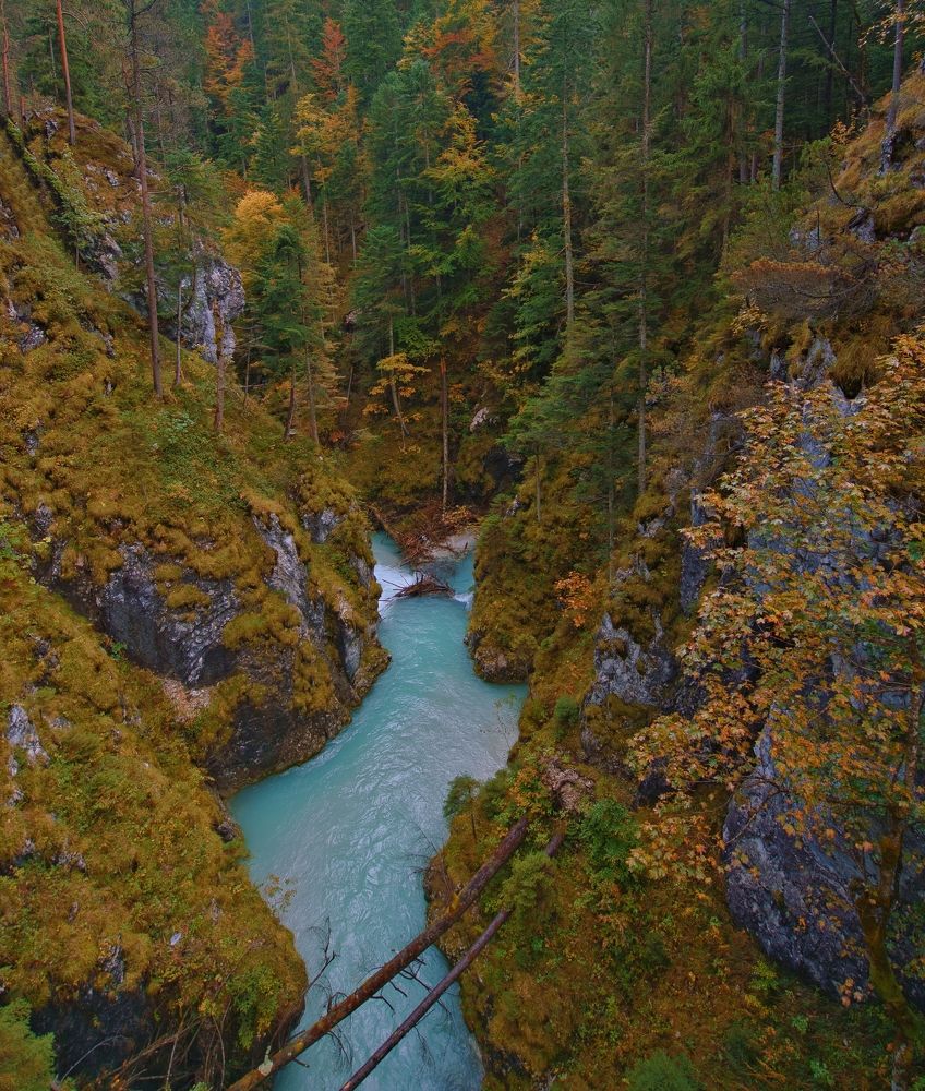 Природа Альп.
