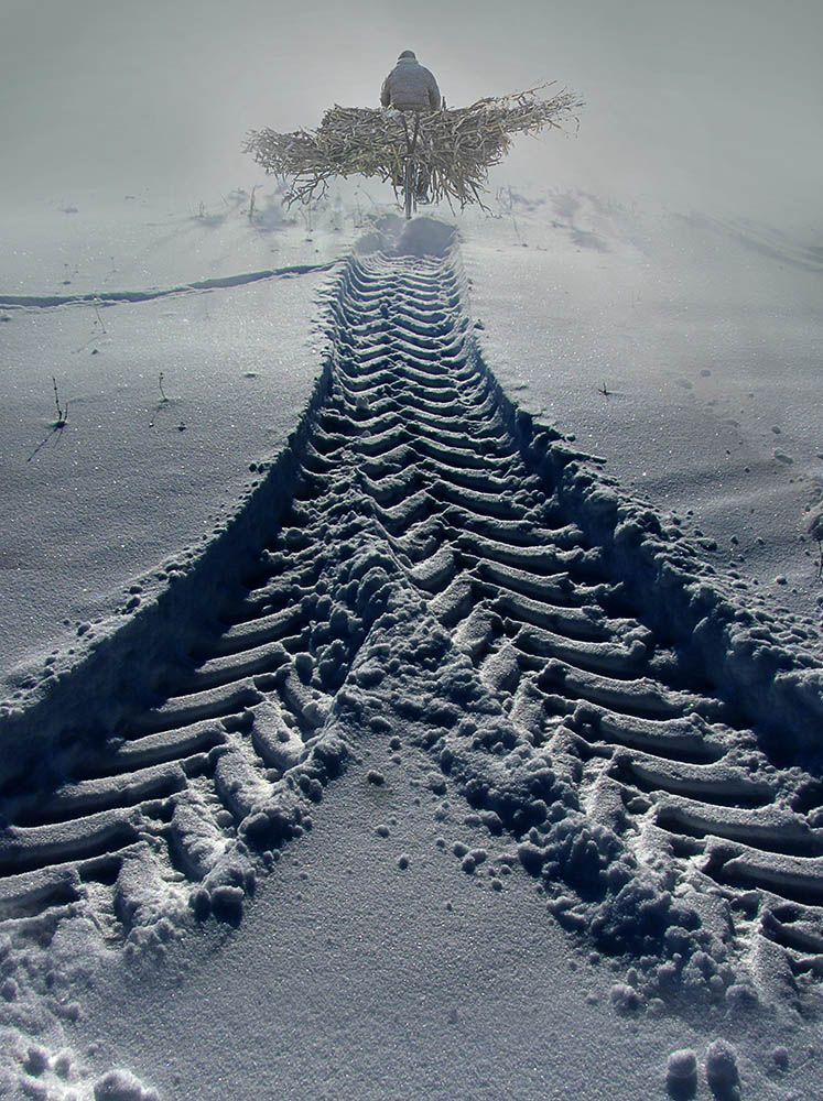В Грядущее...