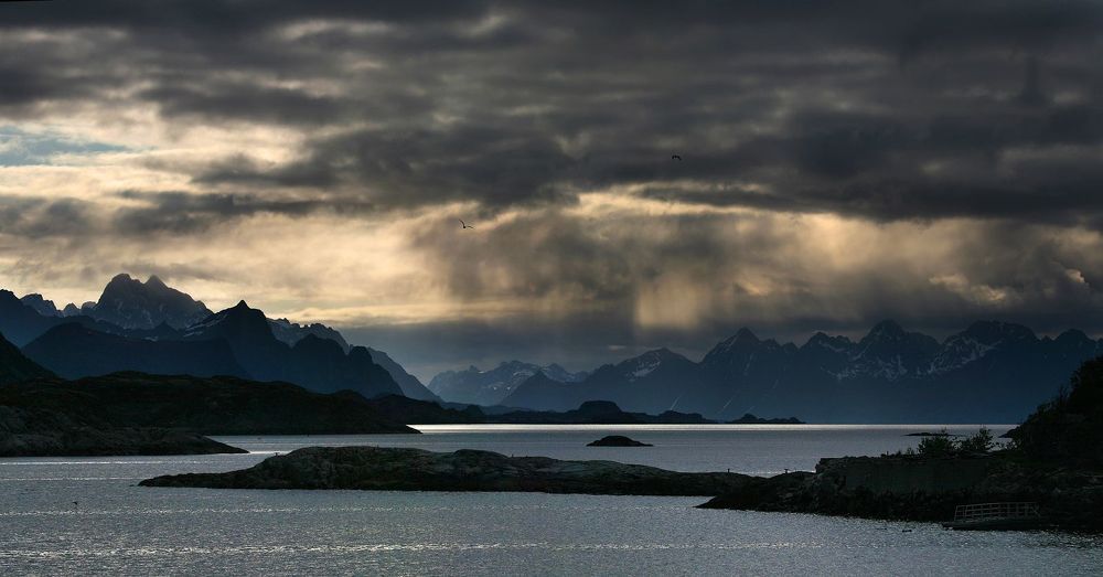 the crying light