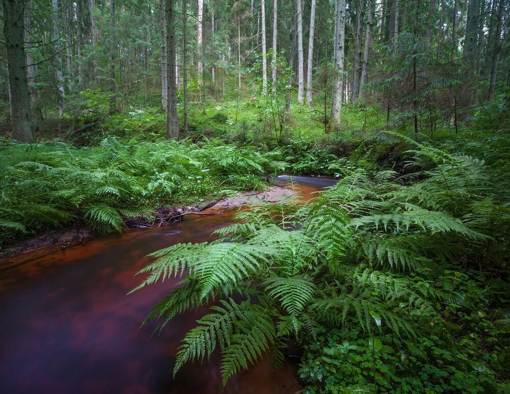 F/14 ISO 500 100sek ND500 FL16mm