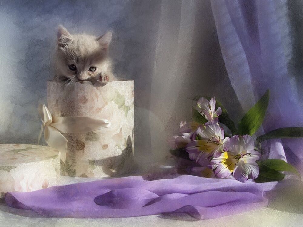 Эльфик