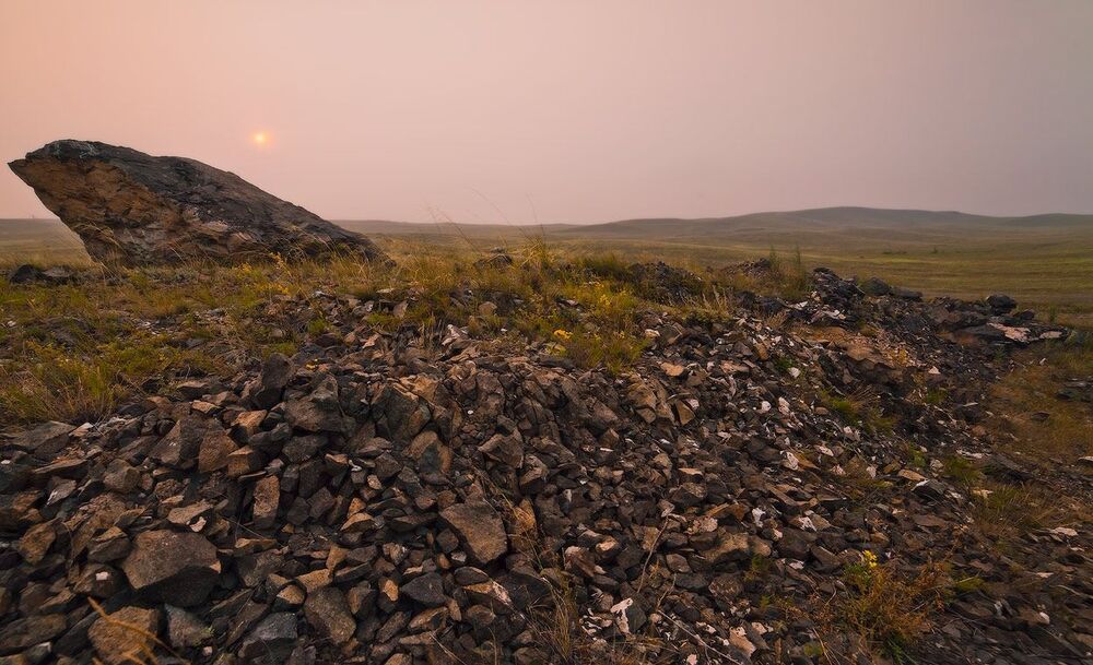 Каменный плавник
