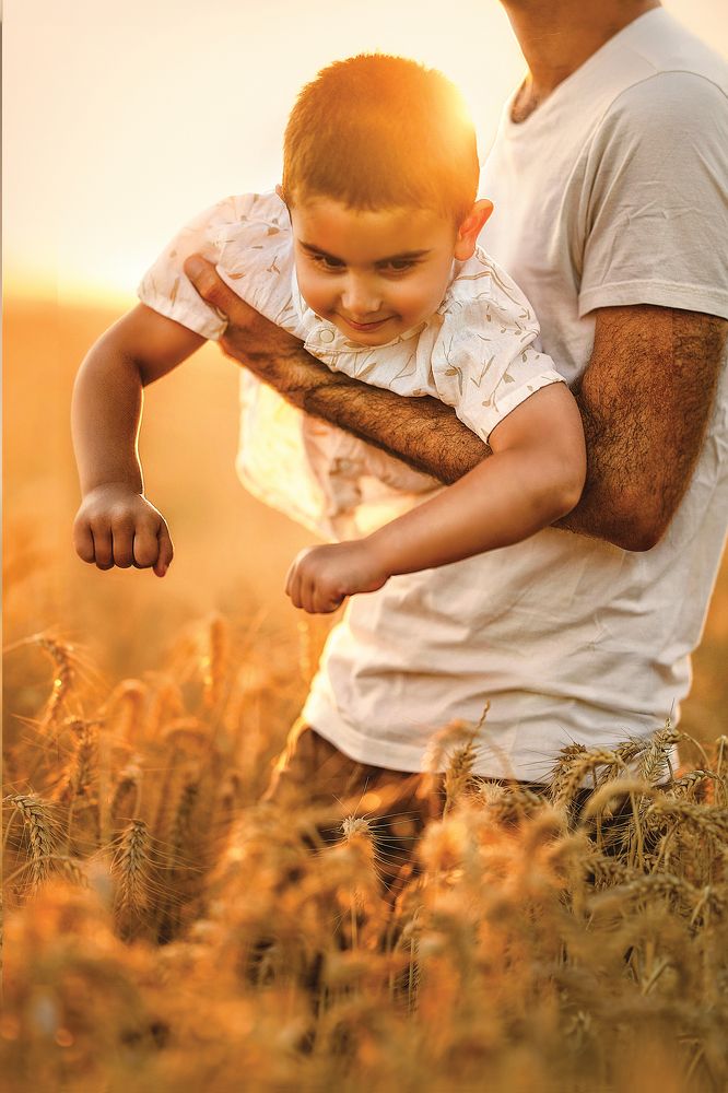 Father and son in a wheat field