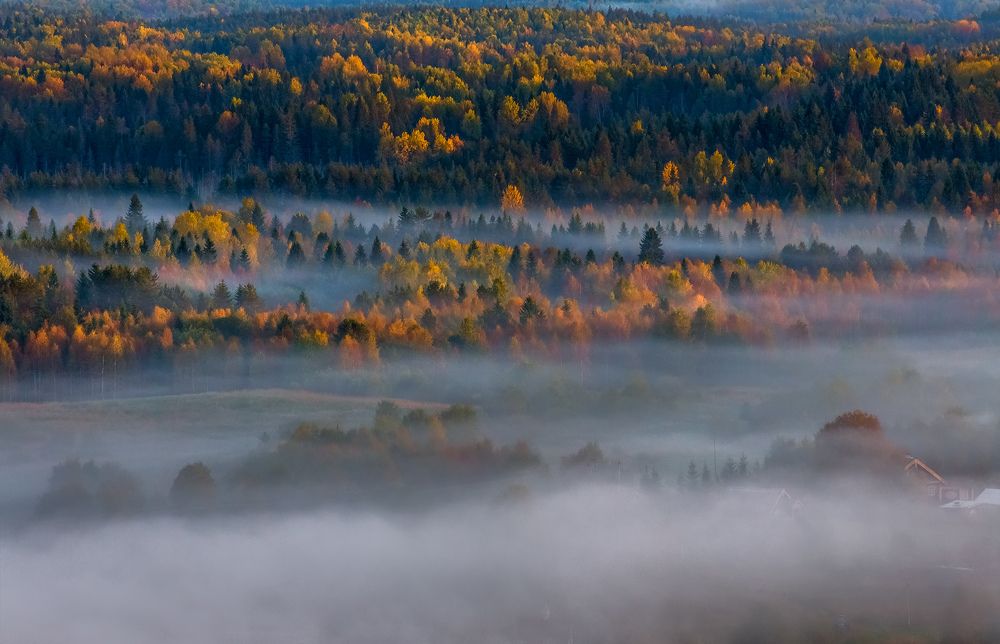 Картинная осень