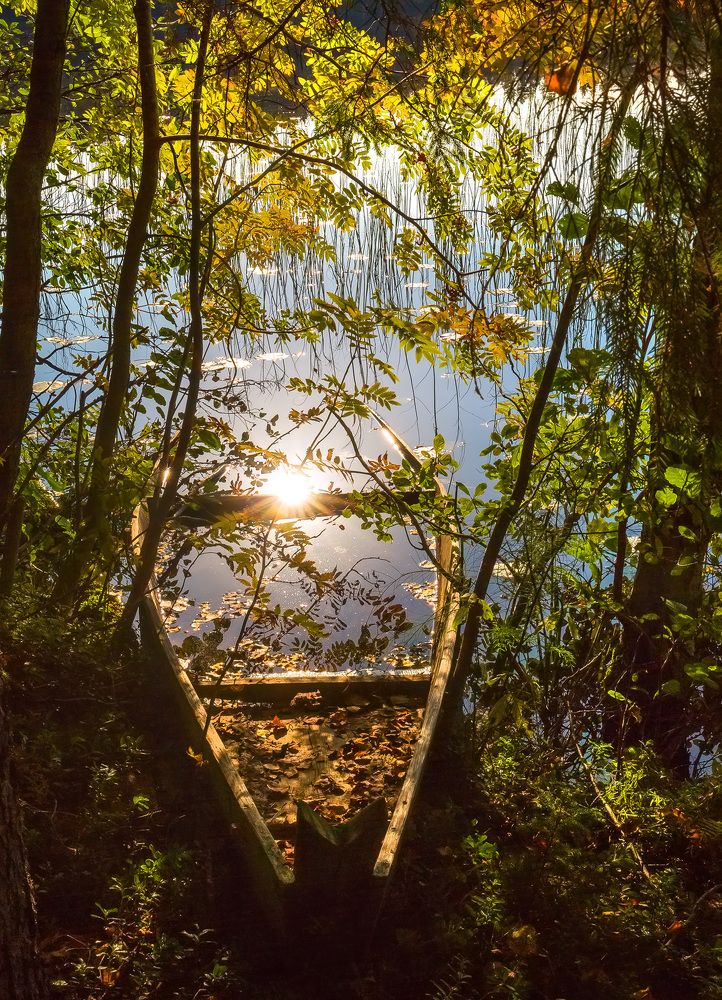 Картинная осень