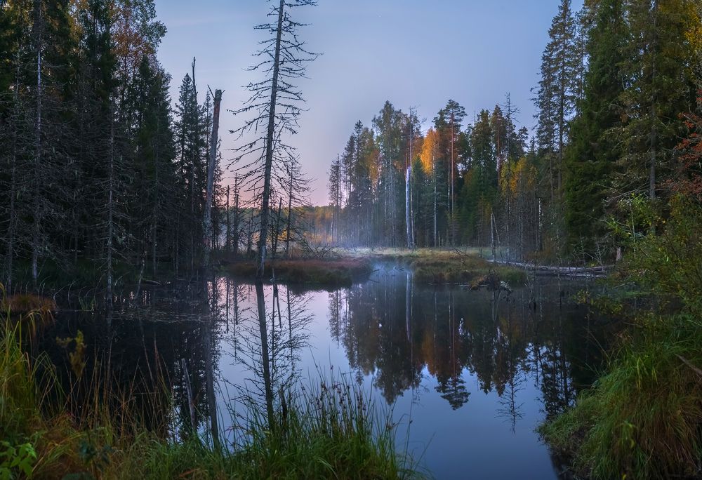 Картинная осень