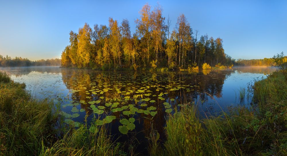 Картинная осень