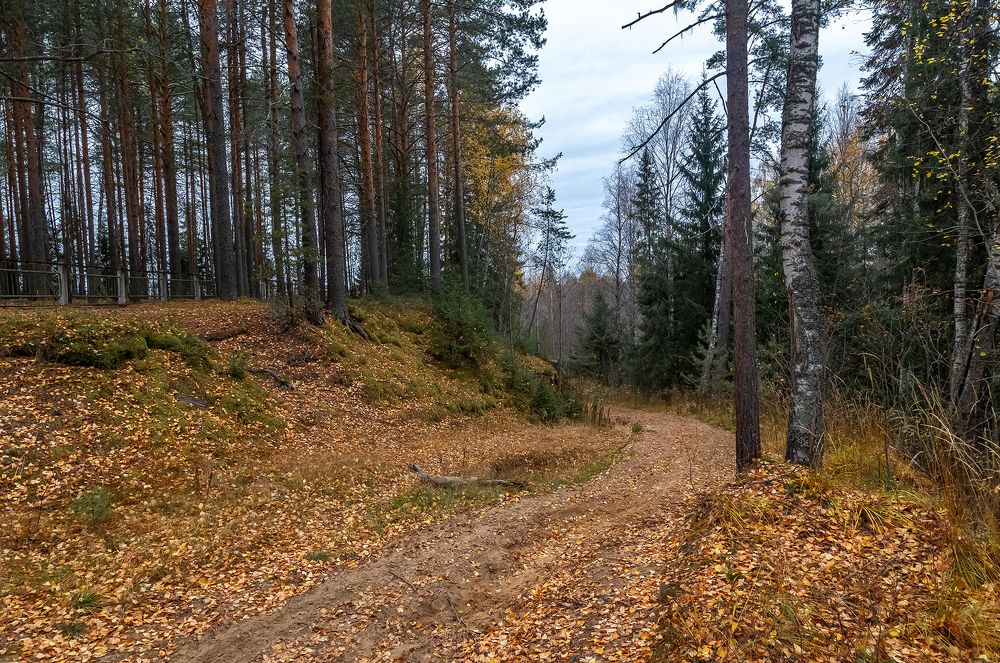 По листве шелестящей.