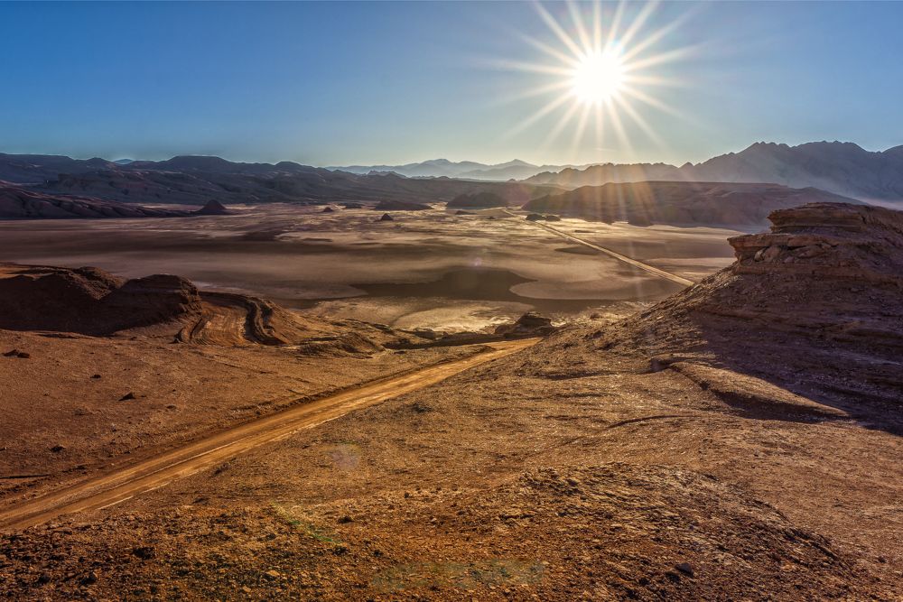 Nature Photography