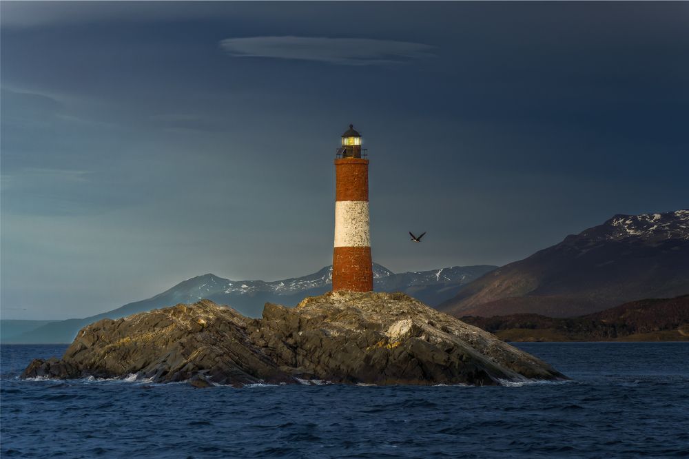Nature Photography