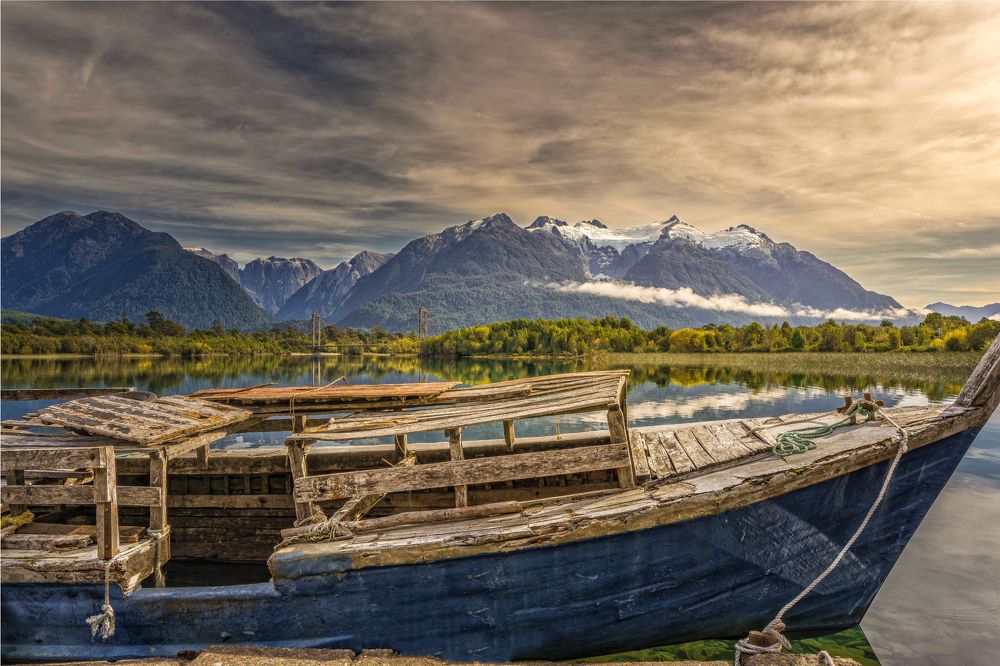 Nature Photography