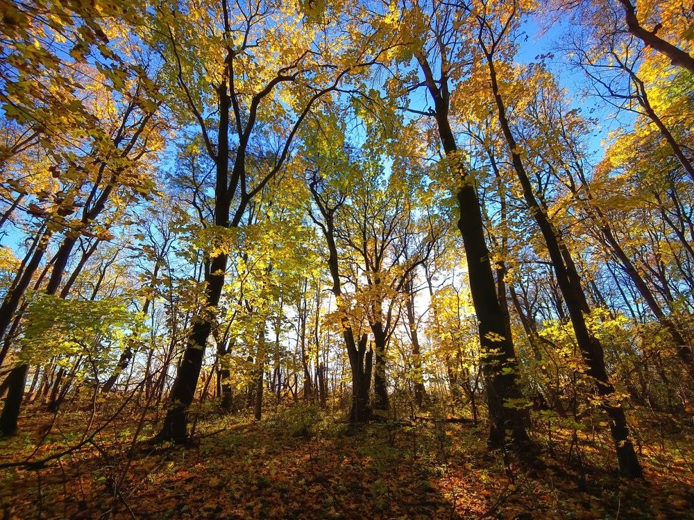 Photo 2711672