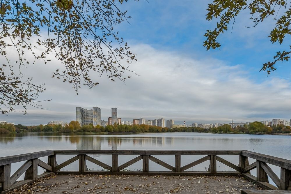 В парке Южного Бутово города Москвы