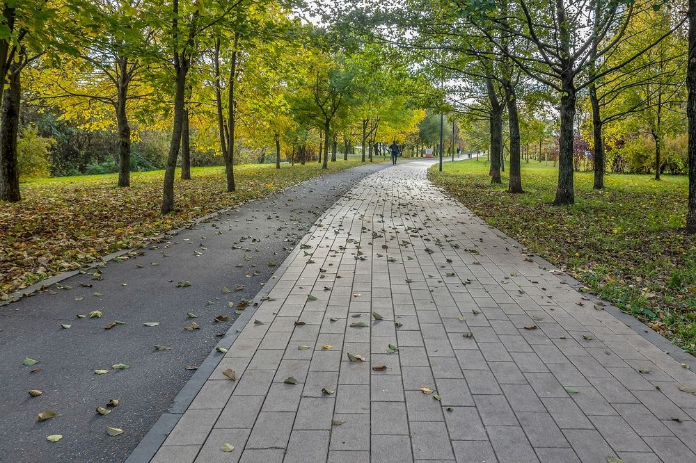 В парке Южного Бутово города Москвы