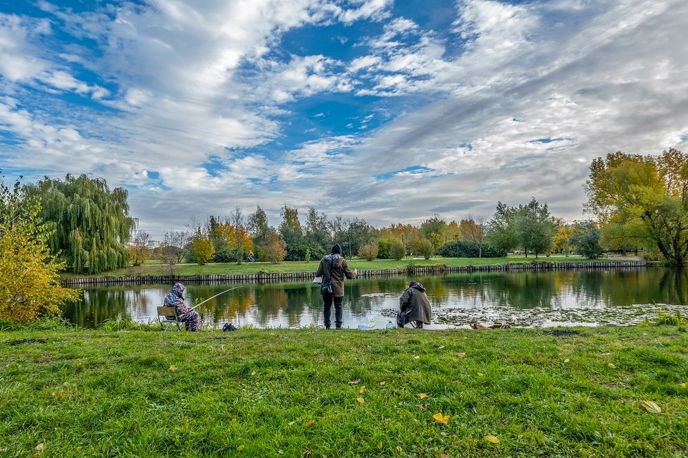 В парке Южного Бутово города Москвы