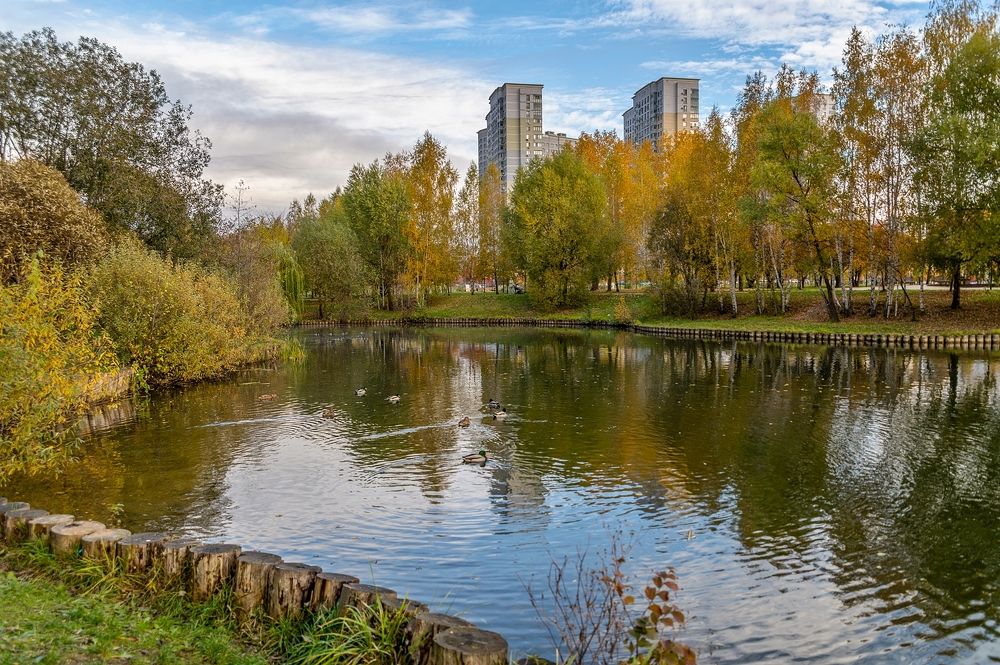В парке Южного Бутово города Москвы