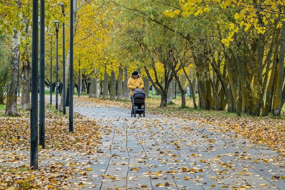 В парке Южного Бутово города Москвы