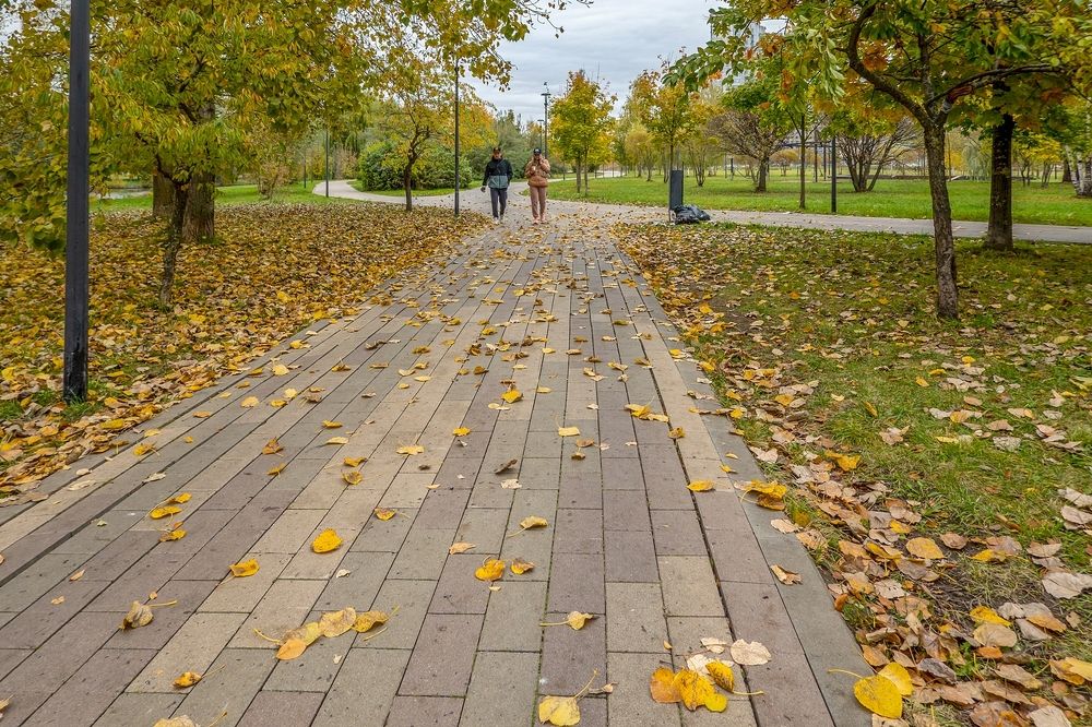 В парке Южного Бутово города Москвы