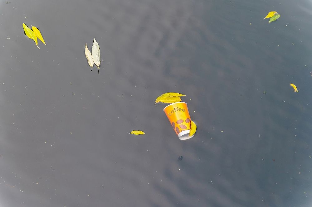 На воде осеннего пруда