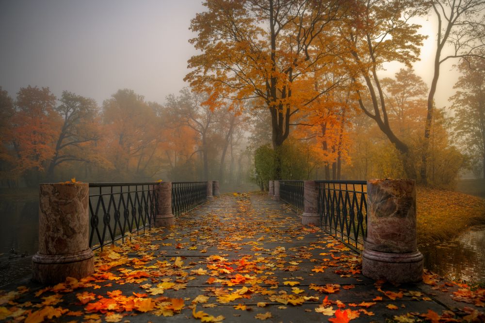 осень в парке...