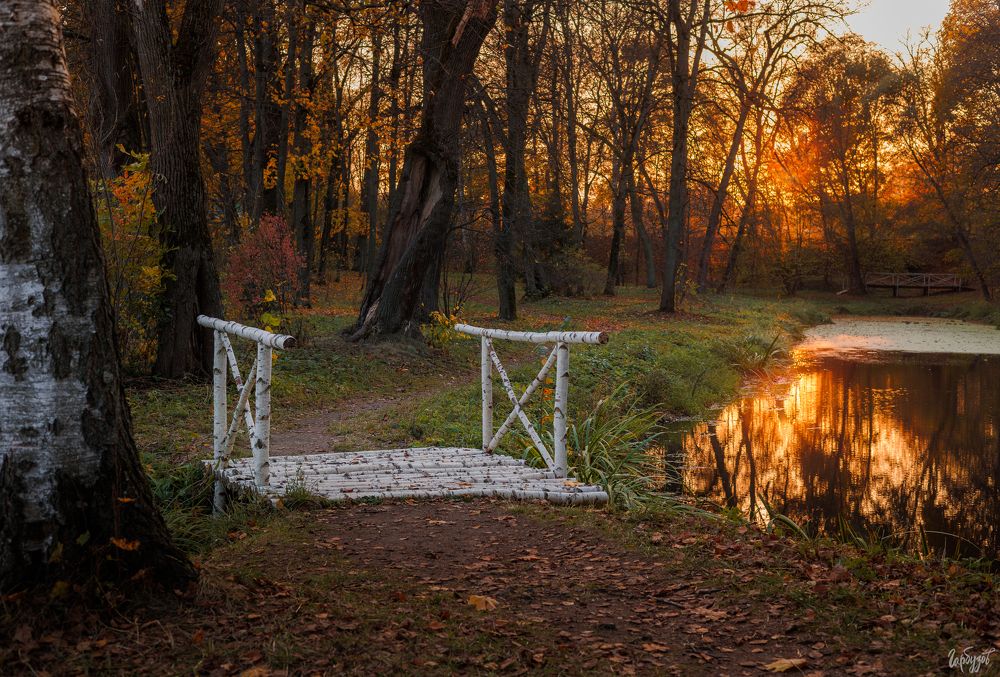 Осень в Ясной Поляне