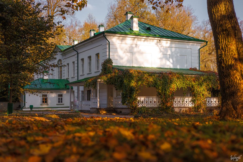 Осень в Ясной Поляне