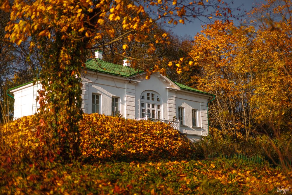 Осень в Ясной Поляне