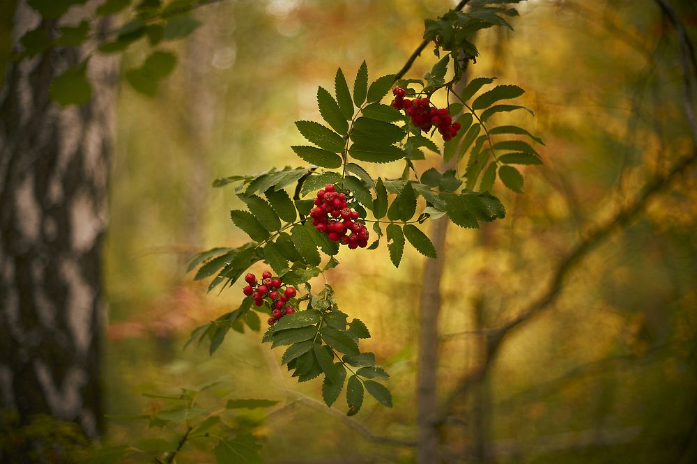 Photo 2713278