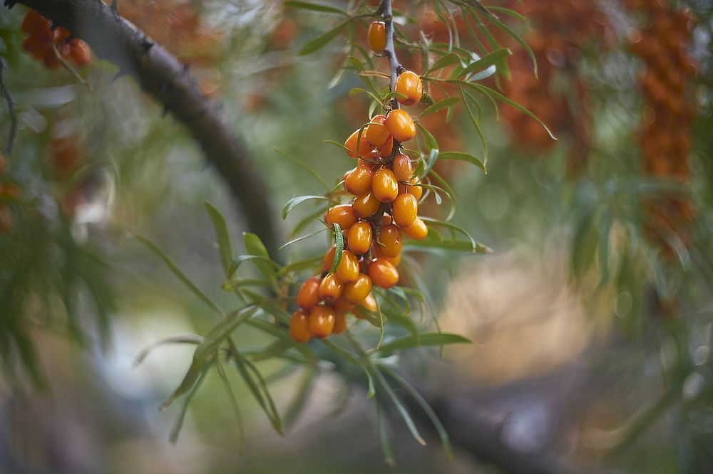 Photo 2713283
