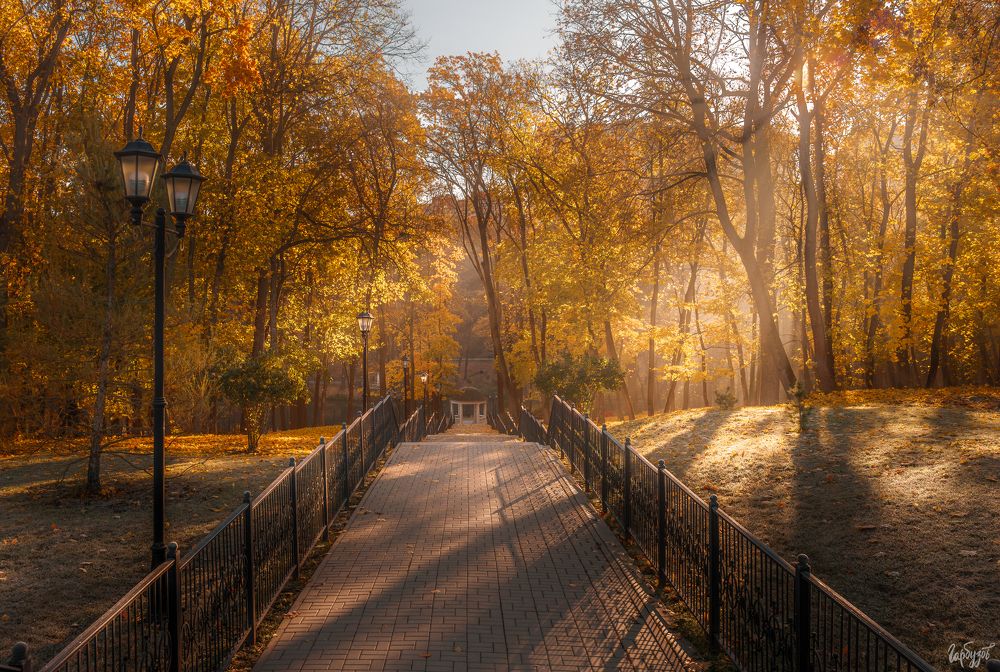 Осень в Платоновском парке. Тула.