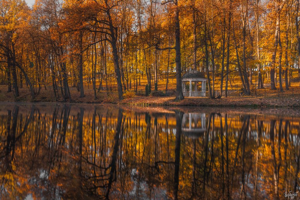 Осень в Платоновском парке. Тула.