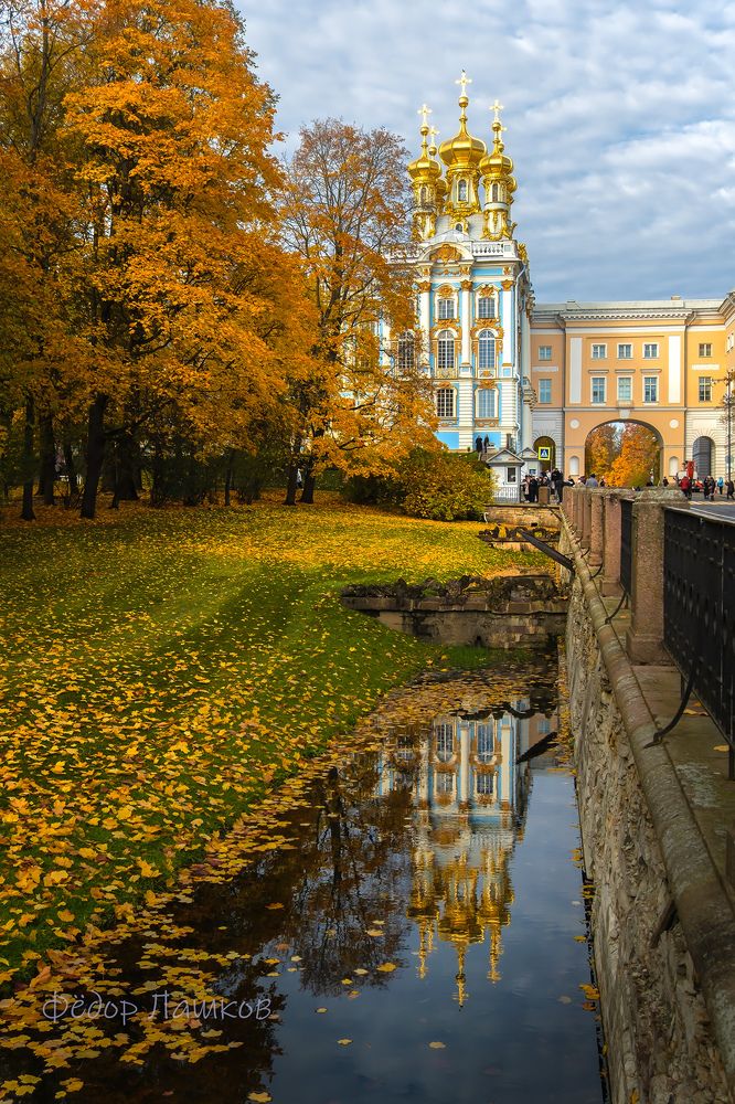 Открытки из города Пушкин