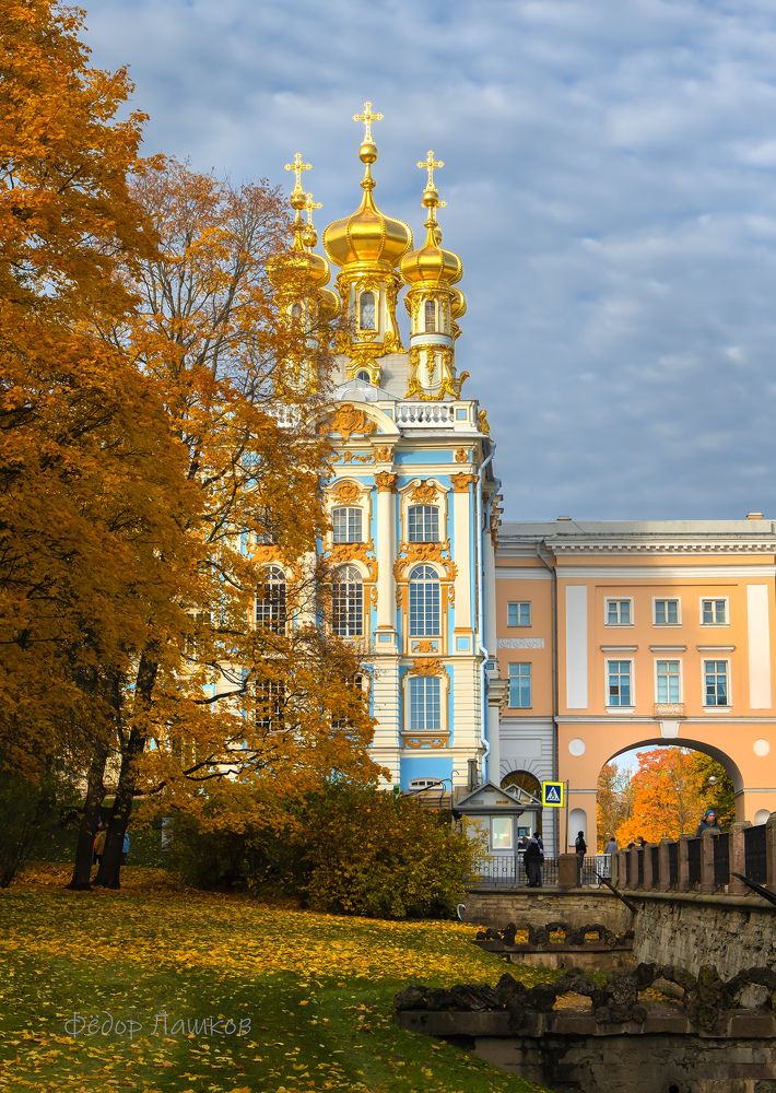 Открытки из города Пушкин