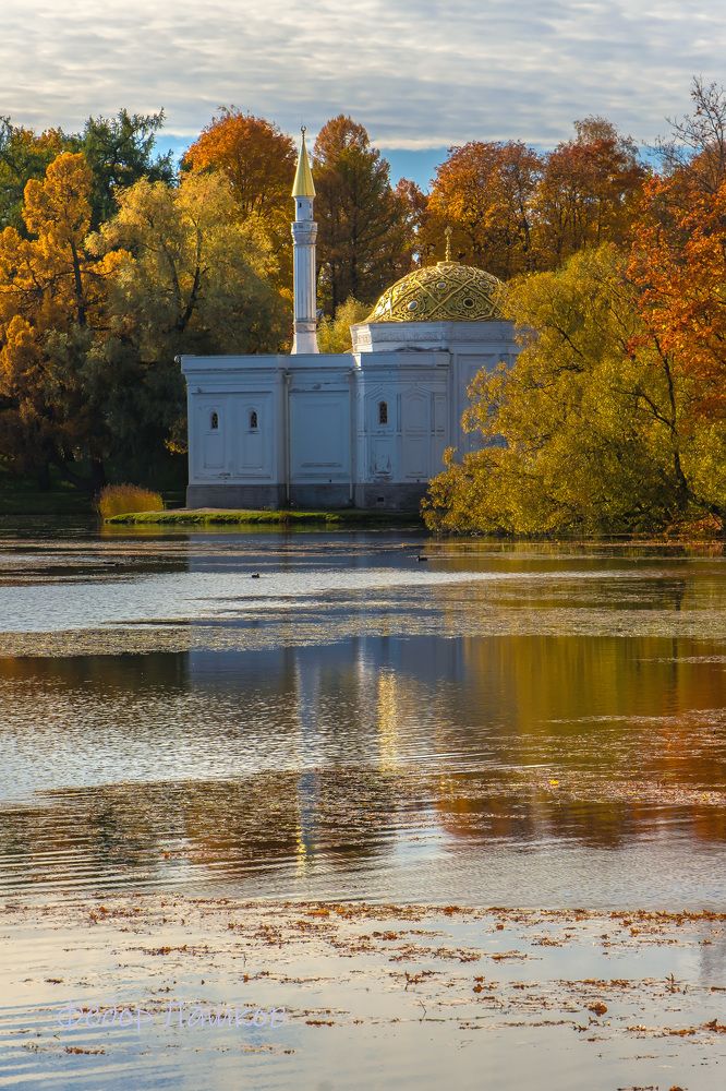 Открытки из города Пушкин
